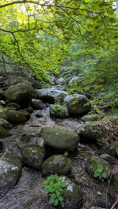 Peaks Of Otter Campground 8