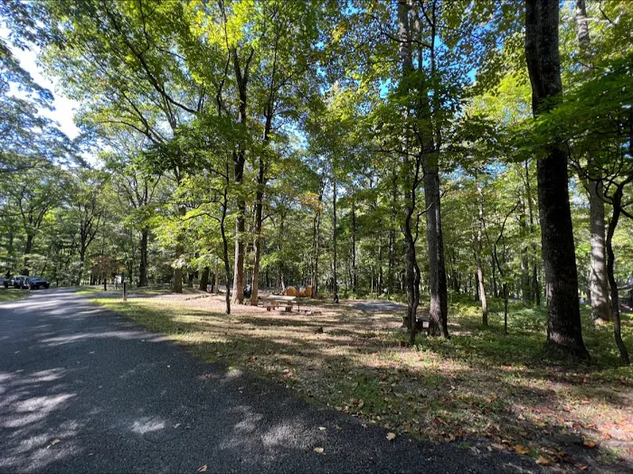 Peaks Of Otter Campground 1