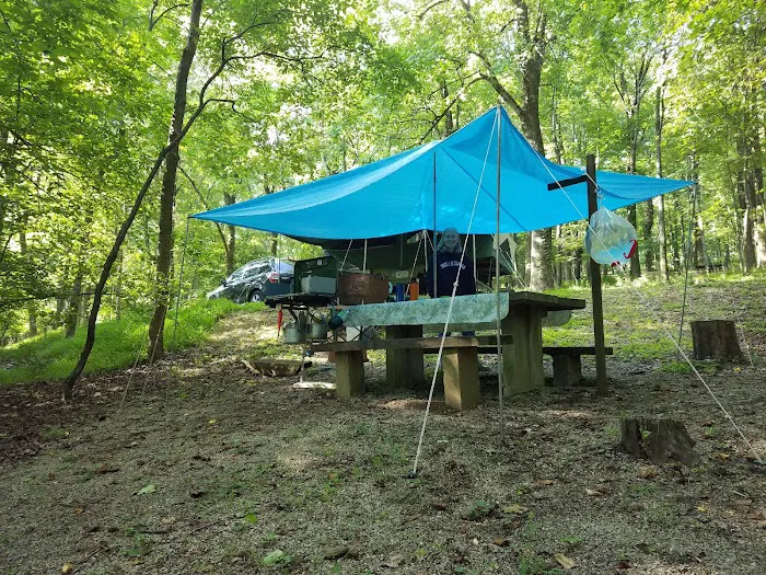 Peaks Of Otter Campground 4