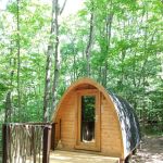 Camp Earth Connection