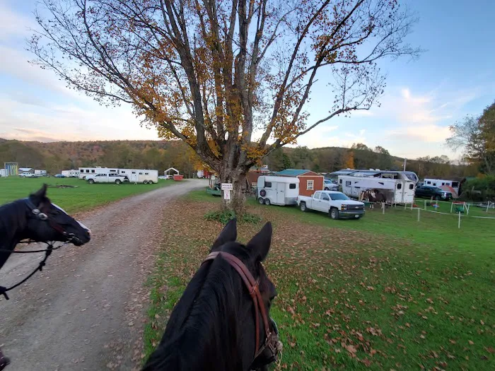 Pure Country Campground 6