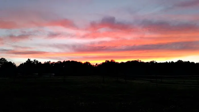 Pure Country Campground 0