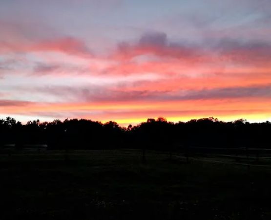 Pure Country Campground