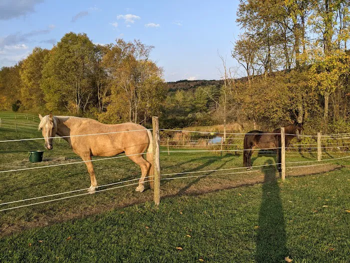 Pure Country Campground 8