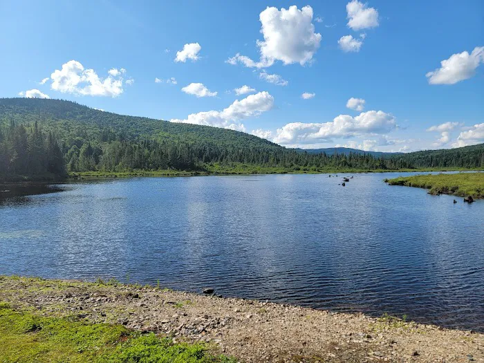 Deer Mountain Campground 3
