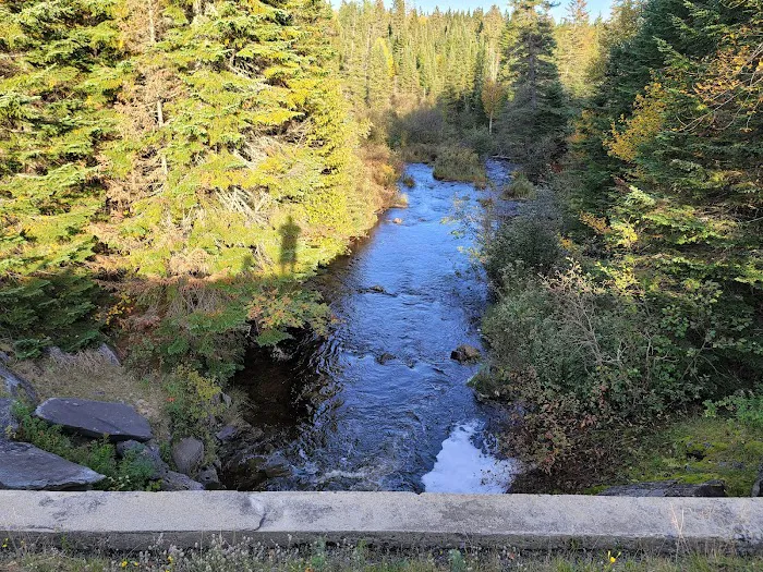 Deer Mountain Campground 5