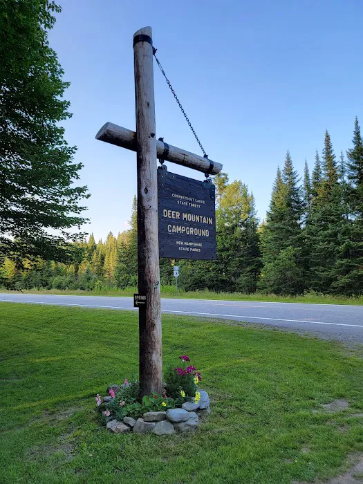 Deer Mountain Campground 2