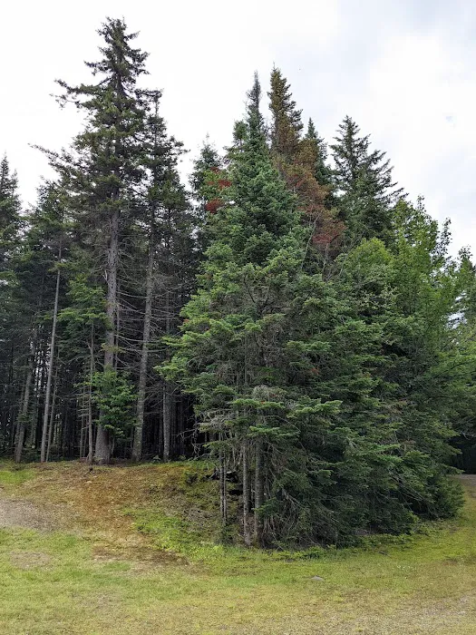 Deer Mountain Campground 0