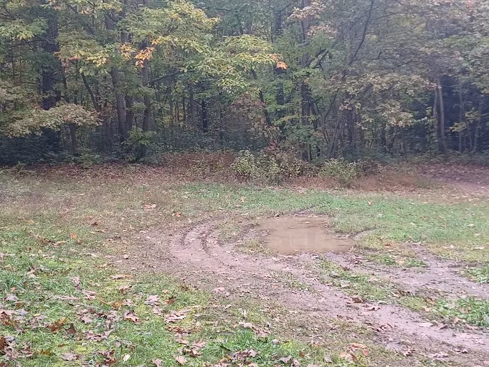 Campsite 81 5