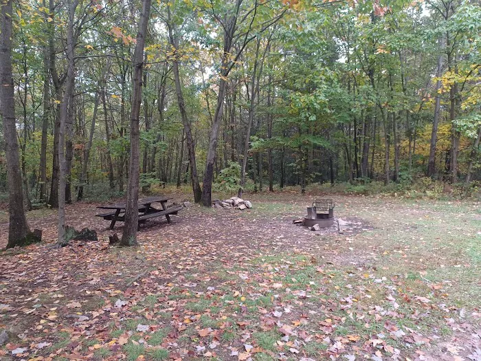 Campsite 81 4