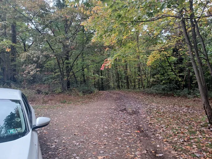 Campsite 81 0
