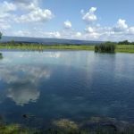 Shoop's Country Campground