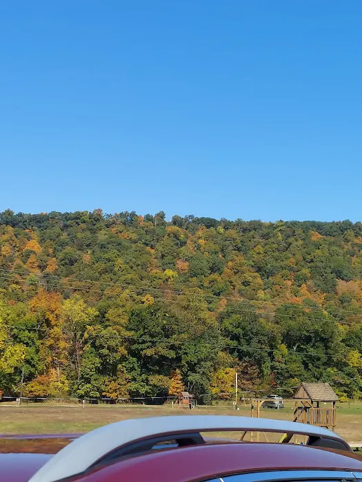 Robinson's Family Campground 9