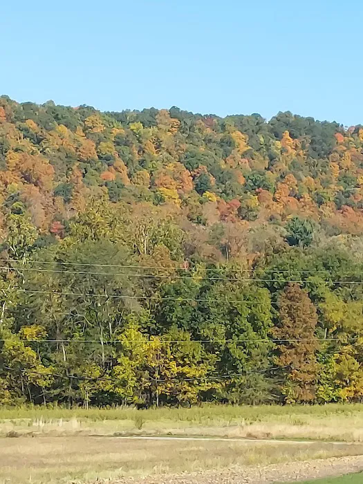 Robinson's Family Campground 2