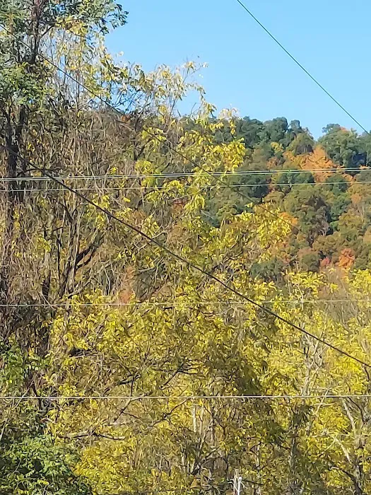 Robinson's Family Campground 8