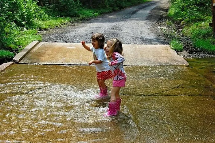 Shady Brook Campground & Boat Rental, LLC 5