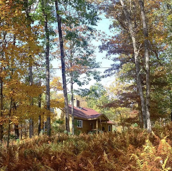 Sylvania Tree Farm 4
