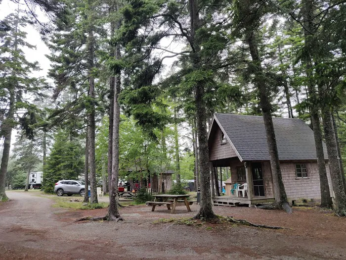 Bass Harbor Campground 5