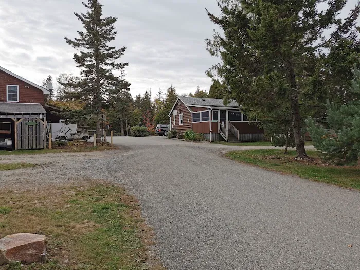 Bass Harbor Campground 6