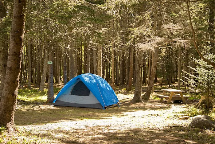 Bass Harbor Campground 3