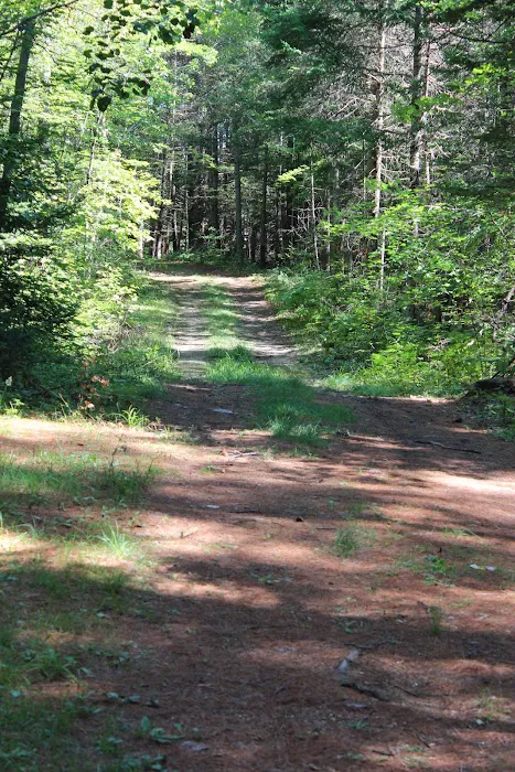 Paul Bunyan Campground 4