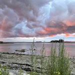 Lobster Buoy Campsite