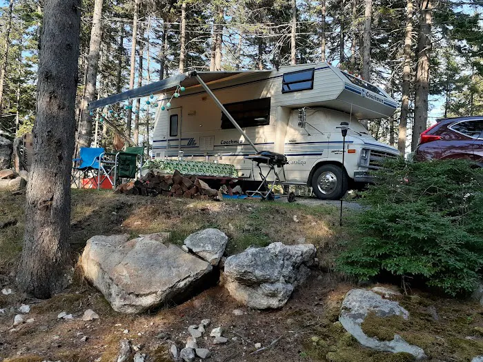 Gray Homestead Oceanfront Camping 8