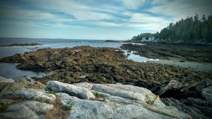 Gray Homestead Oceanfront Camping 0
