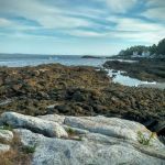 Gray Homestead Oceanfront Camping