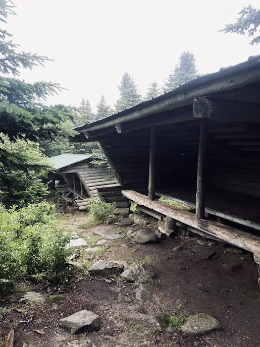 Horn Pond Campsite 4