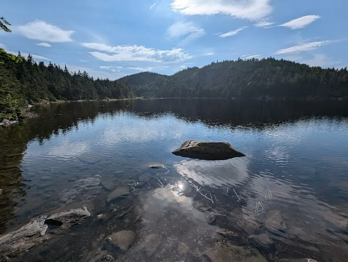 Horn Pond Campsite 0