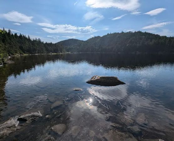 Horn Pond Campsite