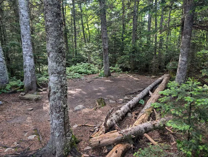 Horn Pond Campsite 7