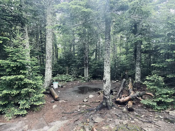 Horn Pond Campsite 9