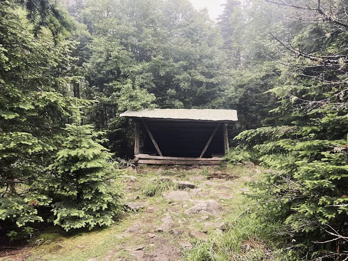 Horn Pond Campsite 2