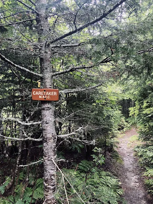Horn Pond Campsite 5