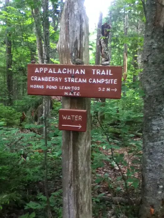Cranberry Stream Campsite 5