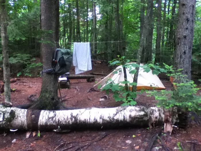 Cranberry Stream Campsite 8