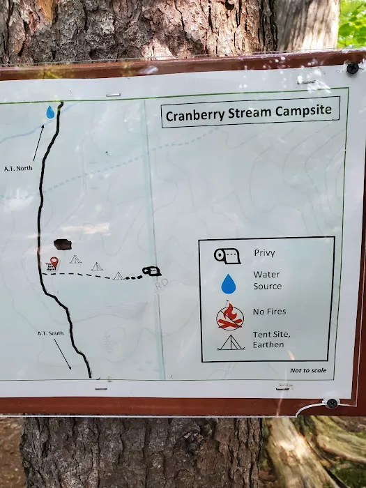 Cranberry Stream Campsite 7