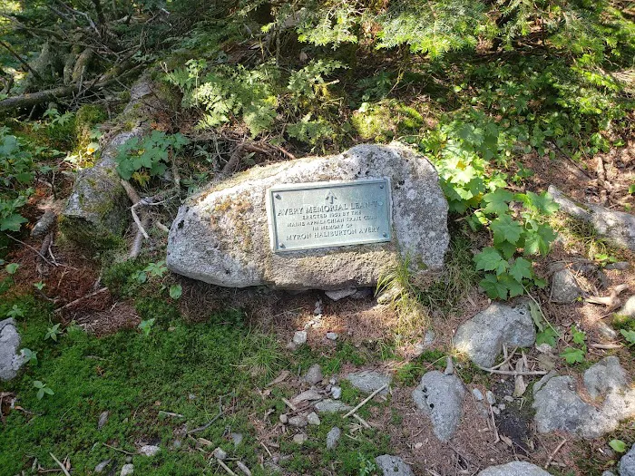 Bigelow Col Campsite 2010.7 5