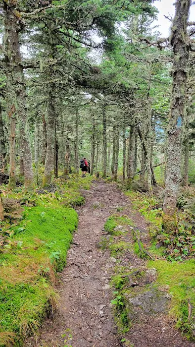 Bigelow Col Campsite 2010.7 3