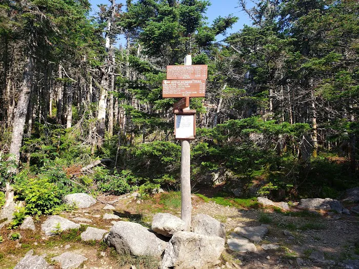 Bigelow Col Campsite 2010.7 8