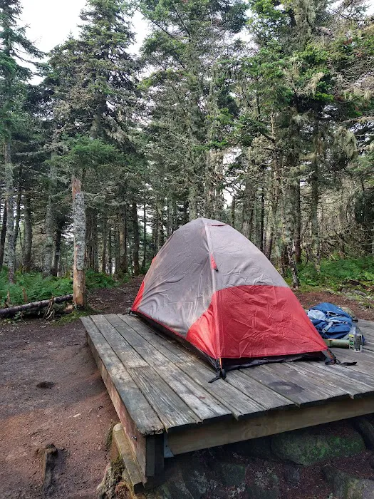 Bigelow Col Campsite 2010.7 6