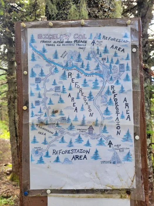 Bigelow Col Campsite 2010.7 7