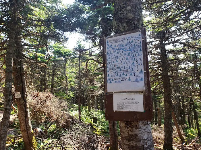 Bigelow Col Campsite 2010.7 4