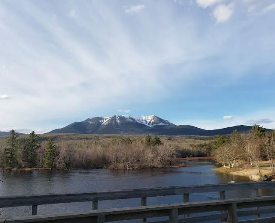 Abol Pines State Campsite