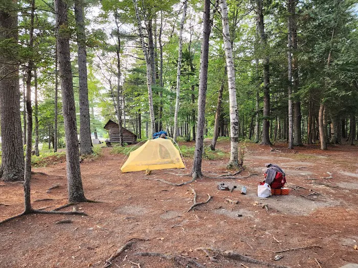 Abol Pines State Campsite 3
