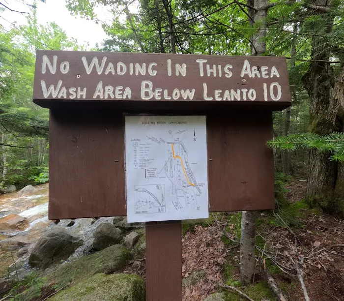 Roaring Brook Campground 1