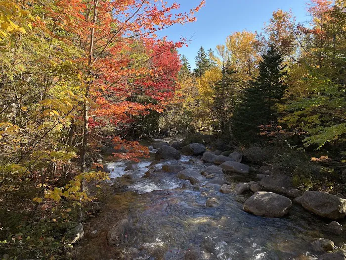 Roaring Brook Campground 3