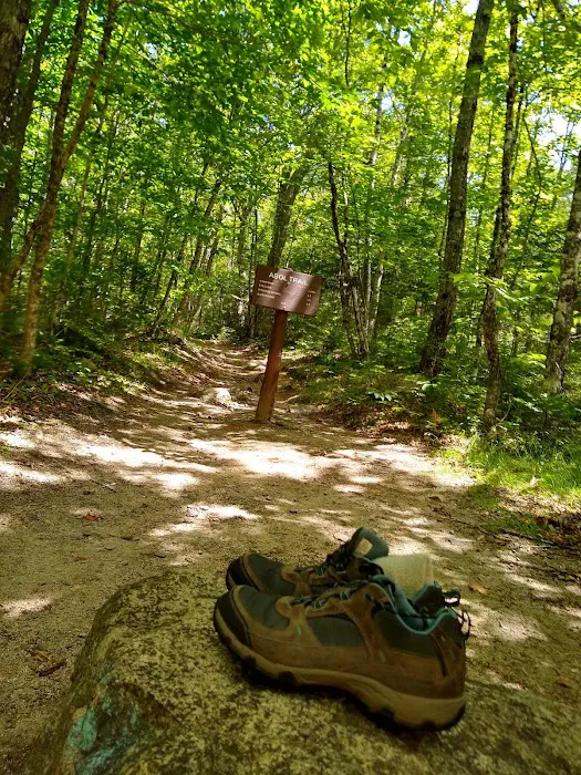 Roaring Brook Campground 5